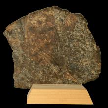 Mtorite (chondrite ordinaire)